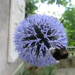 R&b La Gerla Blu Bed and breakfast Tolmezzo
