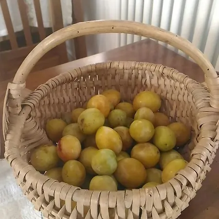 R&b La Gerla Blu 3* 톨메쪼